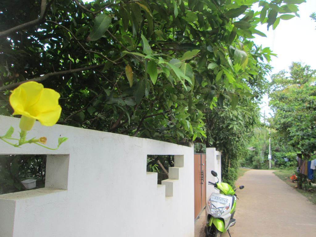 Bay Reach Home Stay Weligama Exterior foto